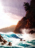 Evening Winds 1995 - Huge - Hawaii Limited Edition Print by Roy Tabora - 0