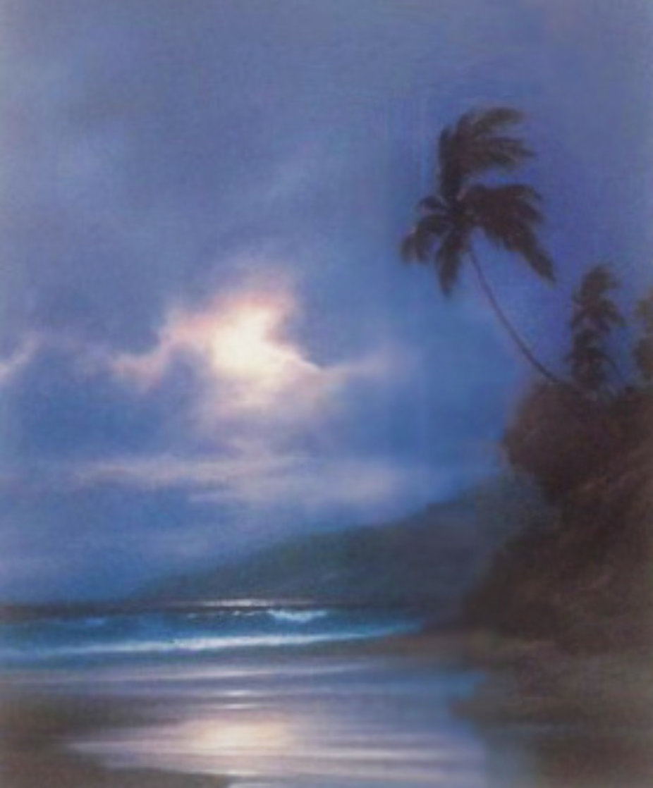 Gentle Surge Hawaii 1993 Limited Edition Print by Roy Tabora Gentle Surge Hawaii 1993 Limited Edition Print by Roy Tabora