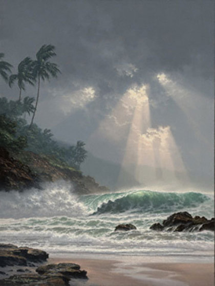 Through Days of Grey 2000 - Hawaii by Roy Tabora - For Sale on Art Brokerage