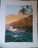 Last Rays of Summer 1986 Limited Edition Print by Roy Tabora - 1