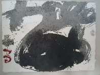 Forma Blanca 1988 Limited Edition Print by Antoni Tapies - 1 Forma Blanca 1988 Limited Edition Print by Antoni Tapies - 1