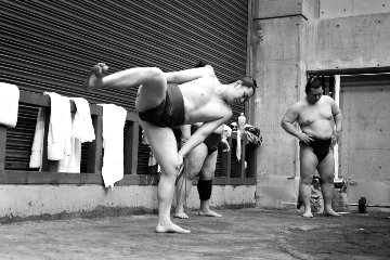 Flex 2016 Sumo Photography - Adi Tarkay Flex 2016 Sumo Photography - Adi Tarkay
