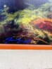 Untitled Lightning Storm 2000 - Embellished Giclee on Canvas - Koa Wood Frame - Huge Limited Edition Print by Dale Terbush - 3