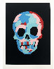 Skull PP 2018 Limited Edition Print by Bradley Theodore - 1