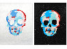 Skulls PP 2020 Limited Edition Print by Bradley Theodore - 0