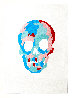 Skull Print 2020 w Diamond Dust Limited Edition Print by Bradley Theodore - 1