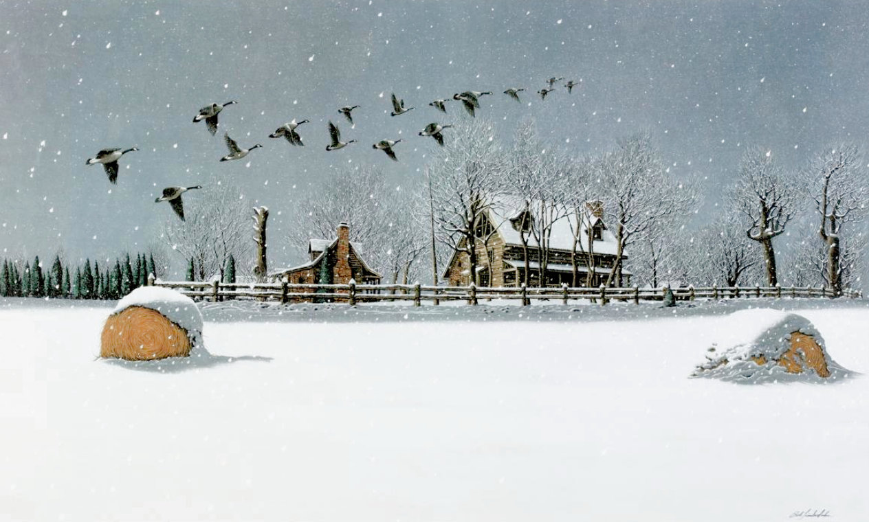 First Light Flight 2000 Limited Edition Offset Lithograph by Bob