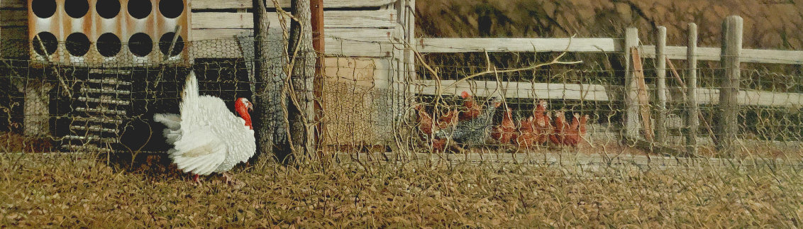 Fenced Out 2001 Limited Edition Print by Bob Timberlake