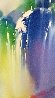 Rainbow Falls 1991 Limited Edition Print by Thomas Leung - 4