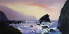 Shell Beach 24x48 Huge - Hawaii Original Painting by Thomas Leung - 0