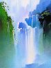 Misty Falls 1991 Limited Edition Print by Thomas Leung - 0