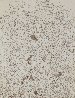 Psaltery, 2nd Form Limited Edition Print by Mark Tobey - 0