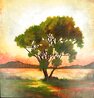 Lofty Spendor Shine 27x27 Original Painting by Gwen Toomalatai - 0