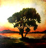 Lofty Spendor Shine 27x27 Original Painting by Gwen Toomalatai - 0