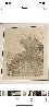 Cleo De Merode 1898 Limited Edition Print by Henri Toulouse-Lautrec - 3