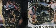 Skull Unique on Album Cover 2012 22x34 Original Painting by Peter Tunney - 0 Skull Unique on Album Cover 2012 22x34 Original Painting by Peter Tunney - 0