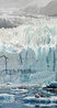 Glacier and Harbor Seals 1990 Limited Edition Print by Ed Tussey - 0 Glacier and Harbor Seals 1990 Limited Edition Print by Ed Tussey - 0