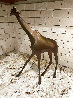 Giraffe Bronze Sculpture 16 in Sculpture by Loet Vanderveen - 2