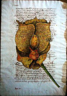 Orchid on Parchment 2004 13x10 Original Painting - Marc Van Krinkelveldt