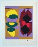 Ion Album - Kris Bille 1989 Limited Edition Print by Victor Vasarely - 1