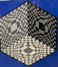 Cubic Relationships 1982 Limited Edition Print by Victor Vasarely - 2