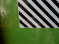 Zebra Limited Edition Print by Victor Vasarely - 1 Zebra Limited Edition Print by Victor Vasarely - 1