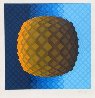 Koskota Limited Edition Print by Victor Vasarely - 1