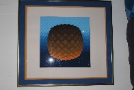 Koskota 1976 Limited Edition Print by Victor Vasarely - 1 Koskota 1976 Limited Edition Print by Victor Vasarely - 1