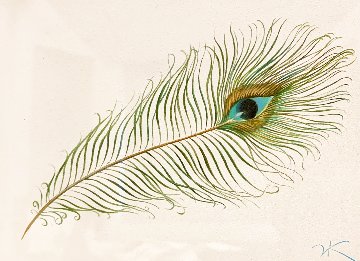 Peacock Feather 18x20 Original Painting - Vladimir Kush Peacock Feather 18x20 Original Painting - Vladimir Kush