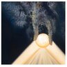 Divine Geometry 2010 Giclee on Canvas Limited Edition Print by Vladimir Kush - 2