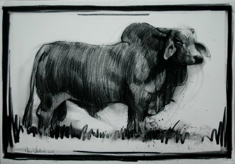 Bull 2008  27x39 Works on Paper (not prints) - Nico Vrielink