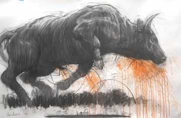 Raging Bull II 2014 39x59 Works on Paper (not prints) - Nico Vrielink Raging Bull II 2014 39x59 Works on Paper (not prints) - Nico Vrielink
