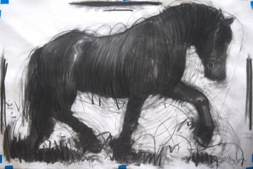 Horse 2 Drawing 2015 39x59 Drawing - Nico Vrielink