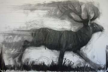 Running Deer Drawing 2015 39x59 Drawing - Nico Vrielink