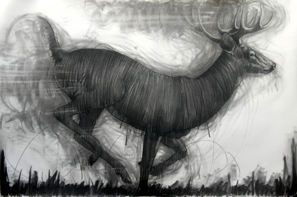 Running Deer Drawing 2015 39x59 Drawing by Nico Vrielink Running Deer Drawing 2015 39x59 Drawing by Nico Vrielink