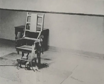 Electric Chair (Retrospective Series) Double Sided Unique 1978 Limited Edition Print - Andy Warhol Electric Chair (Retrospective Series) Double Sided Unique 1978 Limited Edition Print - Andy Warhol