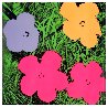 Flowers, FS Ii.73 1970 Limited Edition Print by Andy Warhol - 0