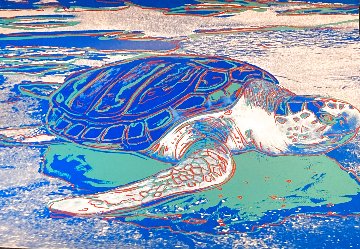 Sea Turtle 1985 Limited Edition Print - Andy Warhol