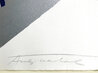 Mick Jagger FS II.142 1975 HS by Mick Jagger Limited Edition Print by Andy Warhol - 1