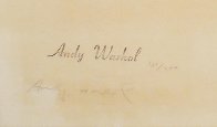 Jacqueline Kennedy III (jackie Iii) Ii.15 1966 Limited Edition Print by Andy Warhol - 2 Jacqueline Kennedy III (jackie Iii) Ii.15 1966 Limited Edition Print by Andy Warhol - 2