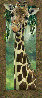 Curious Giraffe I And II   2005, Original Oils on Canvas, 46”x20” Original Painting by Val Warner - 2