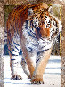 Siberian Fire AP Embellished Limited Edition Print by Val Warner - 0
