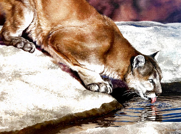 Paws N Reflect 2008  Limited Edition Print - Val  Warner