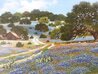 Blue Bonnet Landscape 1970 23x30 - Oil on Canvas - Texas Original Painting by W.A. Slaughter - 2 Blue Bonnet Landscape 1970 23x30 - Oil on Canvas - Texas Original Painting by W.A. Slaughter - 2
