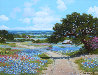 Road to the Blue Bonnet Original Painting by W.A. Slaughter - 0