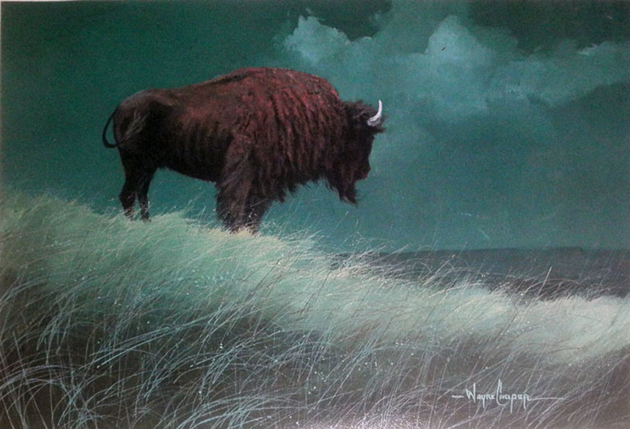 Buffalo on Hill Limited Edition Print by Wayne Cooper Buffalo on Hill Limited Edition Print by Wayne Cooper