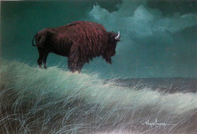 Buffalo on Hill Limited Edition Print by Wayne Cooper