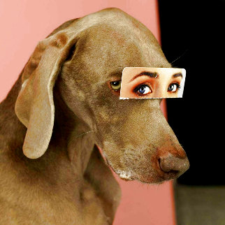 False Eyes 2019 Photography - William Wegman False Eyes 2019 Photography - William Wegman