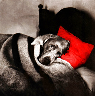 Cinderella Sleeping 1994 Limited Edition Print - William Wegman Cinderella Sleeping 1994 Limited Edition Print - William Wegman