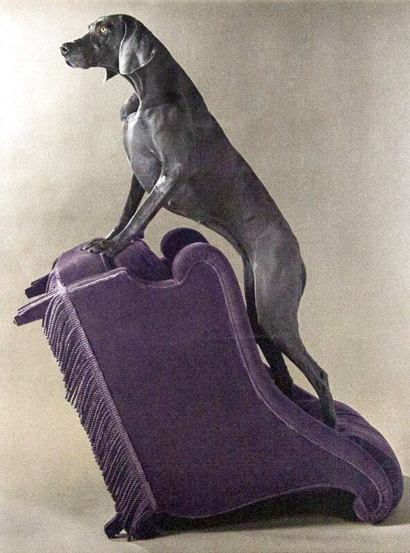 Armed Chair 1991 Huge Limited Edition Print by William Wegman